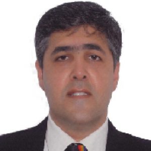 Vikram Idnani